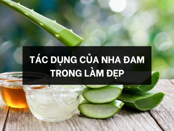 TÁC DỤNG NHA ĐAM TRONG LÀM ĐẸP