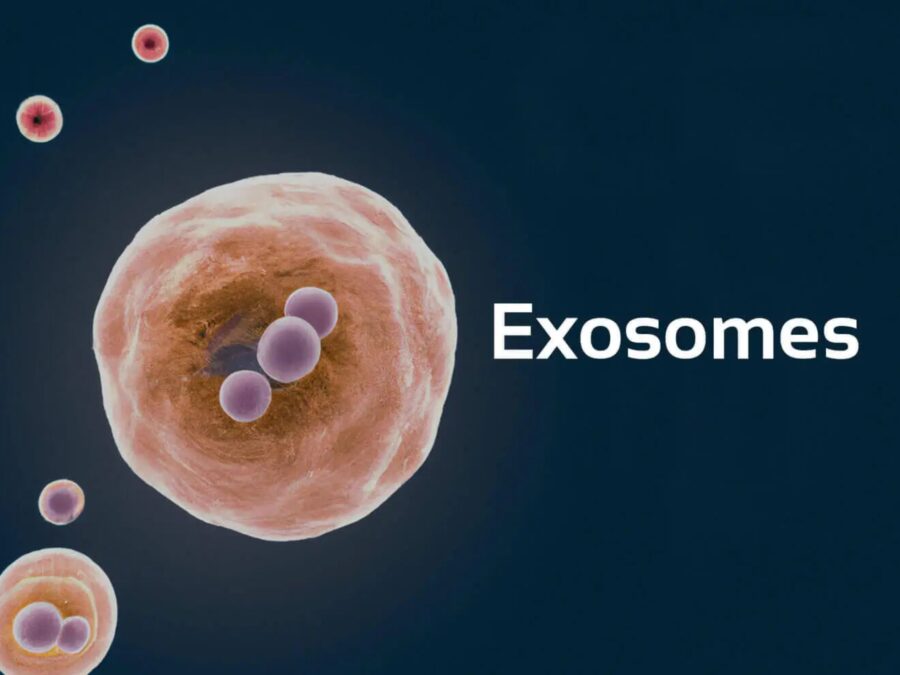 Exosome là những túi ngoại bào, có kích thước siêu nhỏ