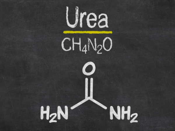 urea là gì?