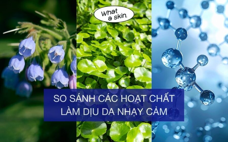 So sánh các hoạt chất làm dịu da nhạy cảm