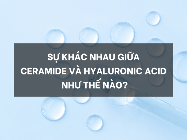 Sự khác nhau giữa ceramide và hyaluronic acid khác nhau như thế