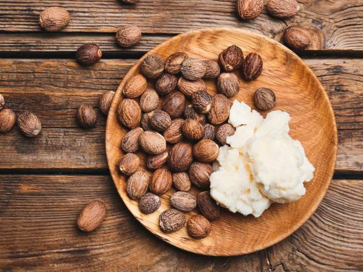 Shea Butter - Bơ hạt mỡ